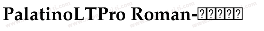 PalatinoLTPro Roman字体转换